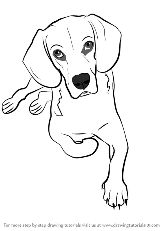 How to Draw a Sitting Dog (Dogs) Step by Step