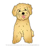 How to Draw Toy Poodle