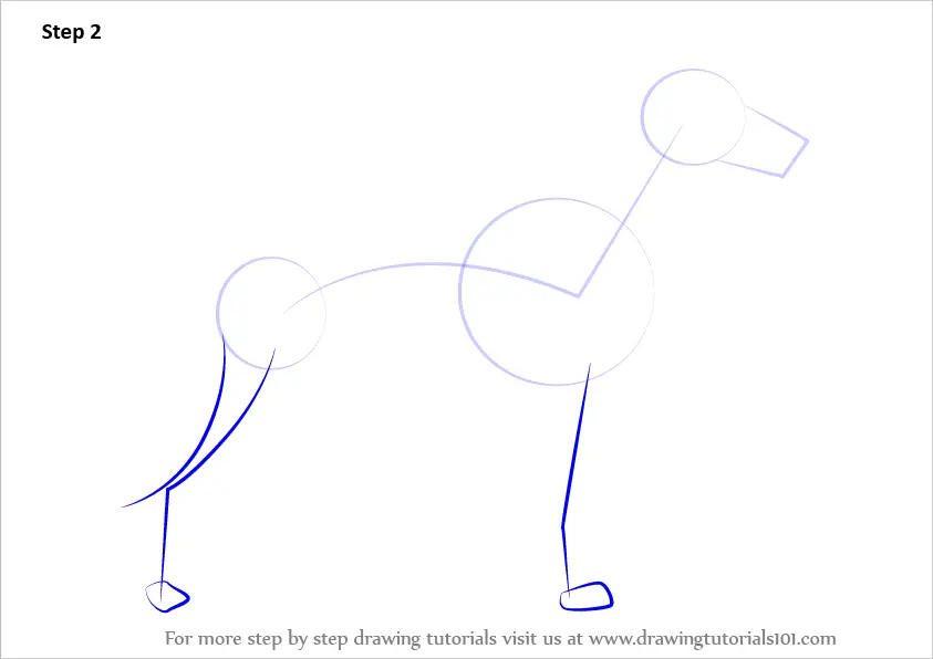 How to Draw a Whippet (Dogs) Step by Step | DrawingTutorials101.com