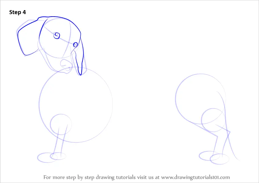 How to Draw a Wiener Dog (Dogs) Step by Step