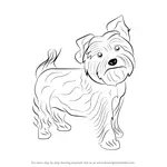 How to Draw a Yorkie Dog
