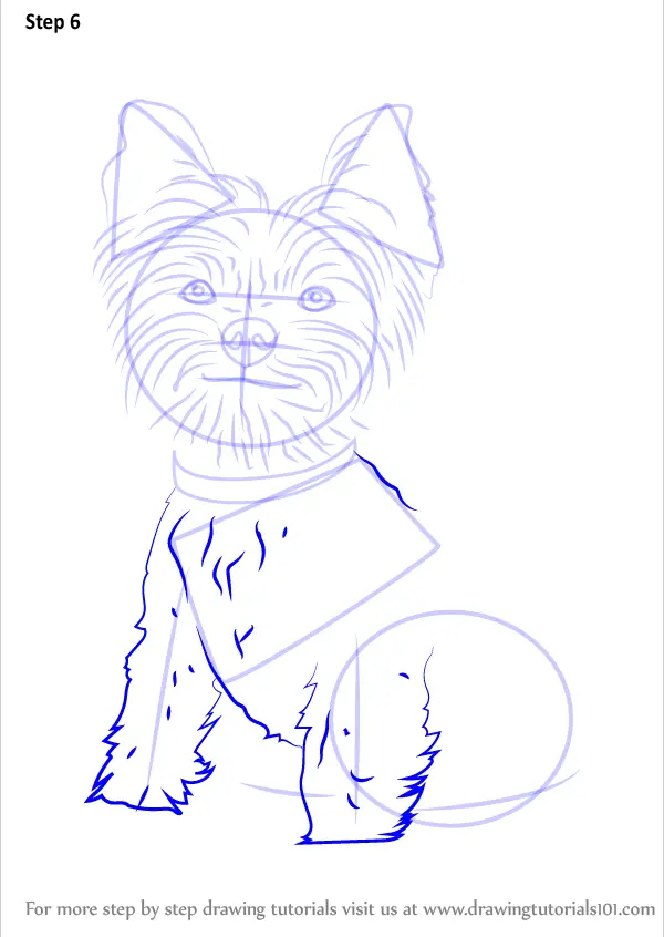 Learn How to Draw Yorkie Puppy (Dogs) Step by Step : Drawing Tutorials