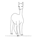 How to Draw a Alpaca