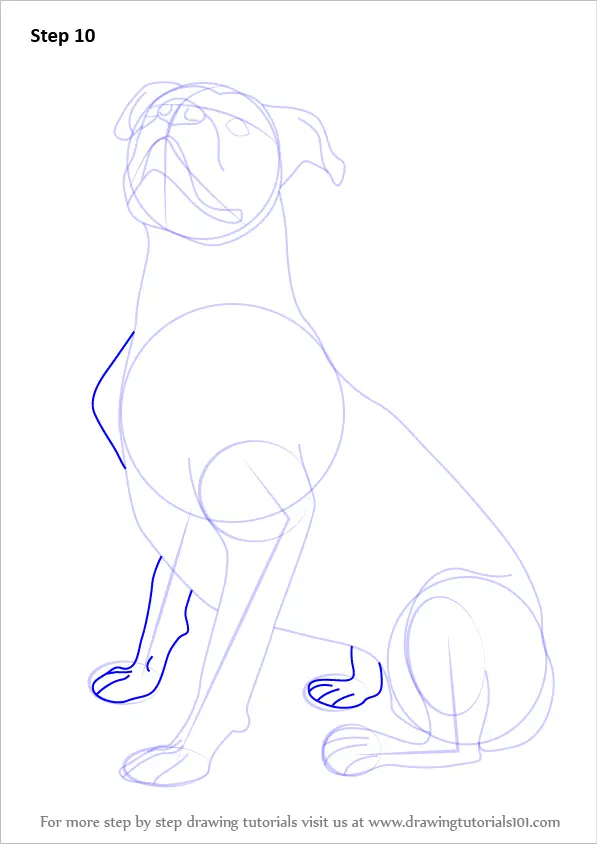 How to Draw a Boxer Dog (Farm Animals) Step by Step ...