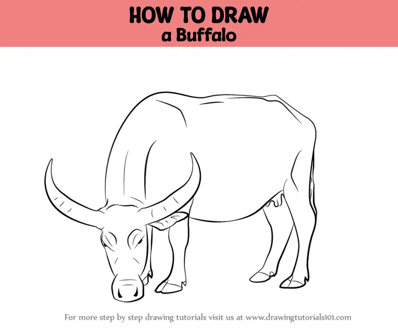 Buffalo Bison Ox Icon Animal Head Vector Stock Illustration - Download  Image Now - American Bison, Animal, Animal Body Part - iStock