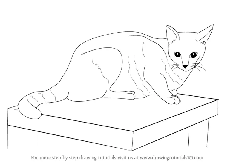 Learn How to Draw a Cat (Farm Animals) Step by Step Drawing Tutorials