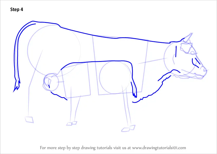 How to Draw Cow And Young Calf (Farm Animals) Step by Step ...