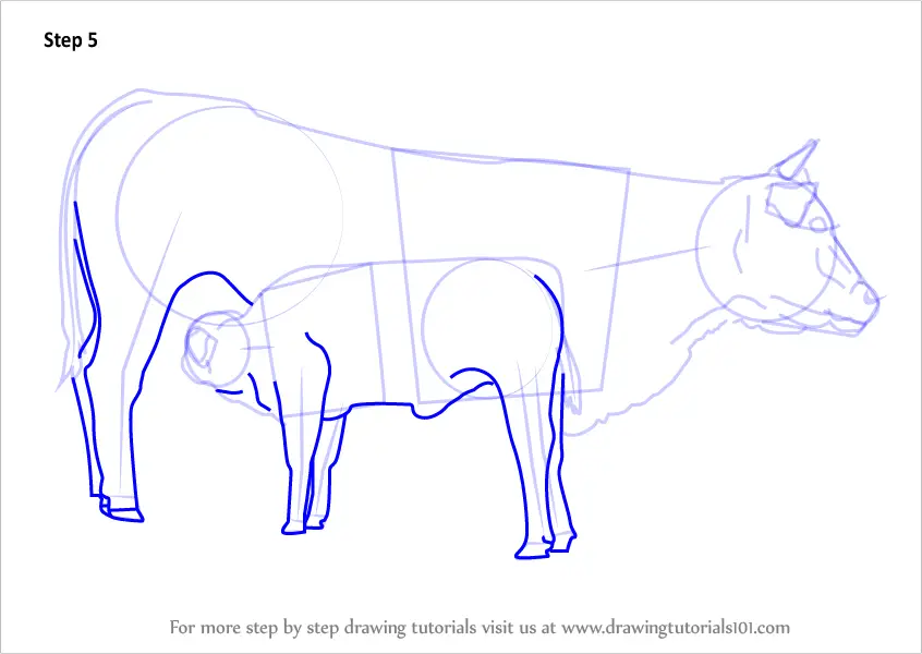 How to Draw Cow And Young Calf (Farm Animals) Step by Step ...