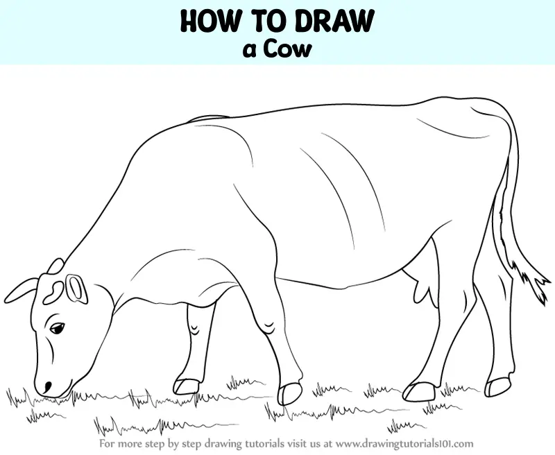 Hand Drawn Cow Bull Sketch A Farm Animal Vector Illustration Stock  Illustration - Download Image Now - iStock