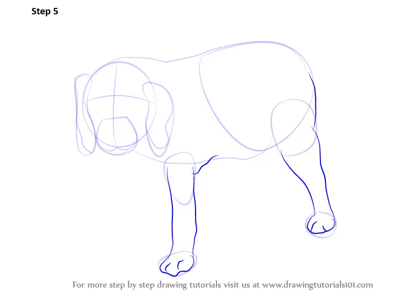 Learn How to Draw a Dog (Farm Animals) Step by Step : Drawing Tutorials
