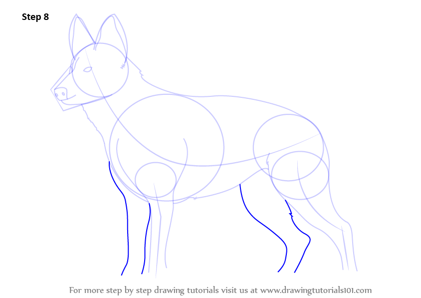 Learn How to Draw German Shepherd Dog (Farm Animals) Step by Step