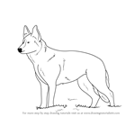 How to Draw German Shepherd Dog