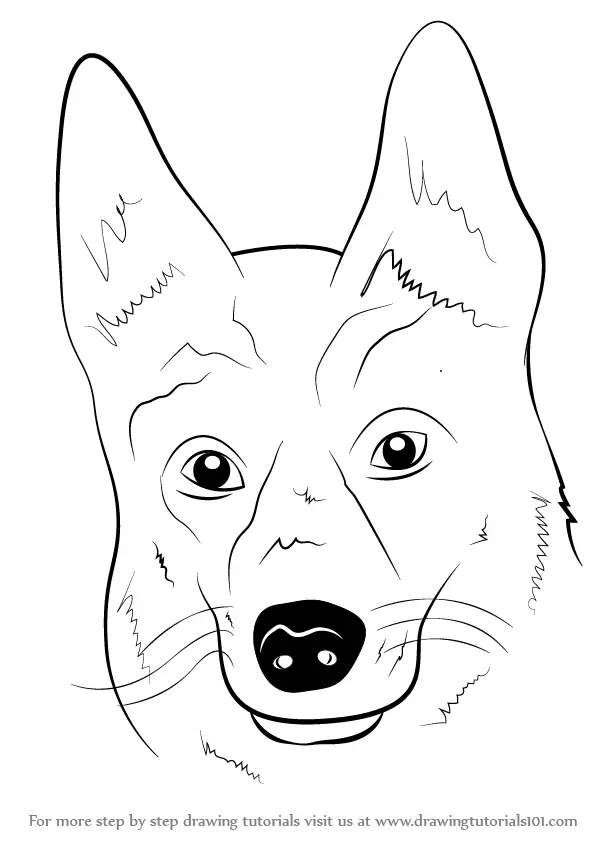 draw to face dog how a Face Draw to (Farm Learn German How Animals Shepherd Dog