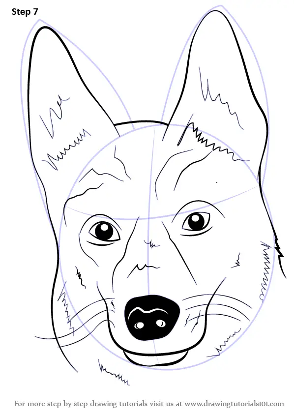 Learn How to Draw German Shepherd Dog Face (Farm Animals) Step by Step ...
