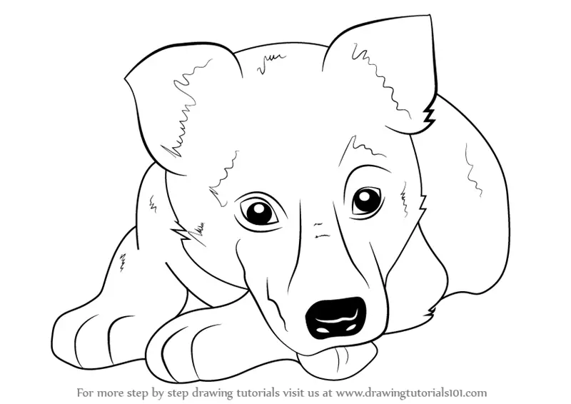 How to Draw German Shepherd Puppy (Farm Animals) Step by Step