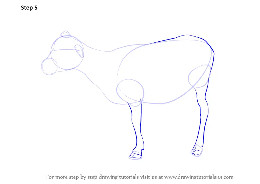 Step by Step How to Draw a Goat : DrawingTutorials101.com