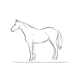 How to Draw a Horse