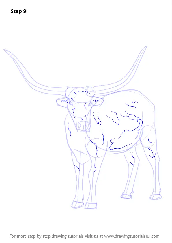 How to Draw a Longhorn Cattle (Farm Animals) Step by Step