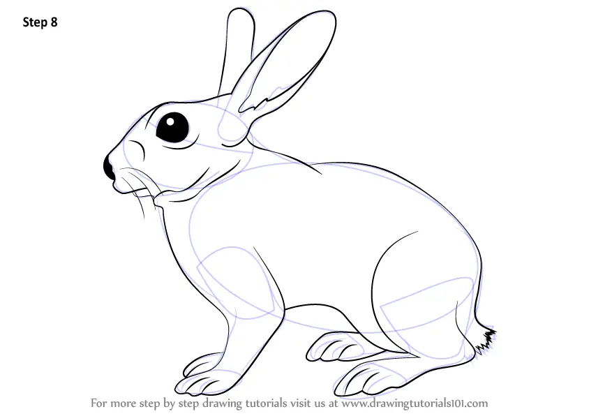 How to Draw a Rabbit with Pen and Ink