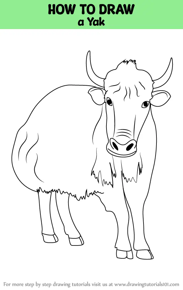 How to Draw a Yak (Farm Animals) Step by Step | DrawingTutorials101.com