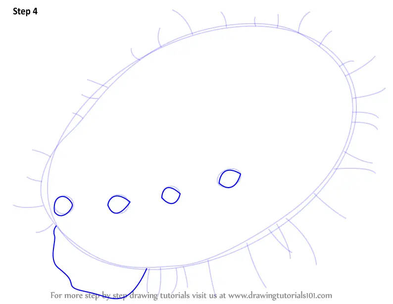 How to Draw a Abalone (Fishes) Step by Step
