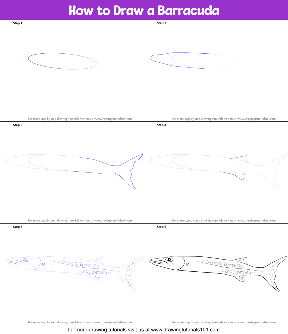 How to Draw a Barracuda (Fishes) Step by Step