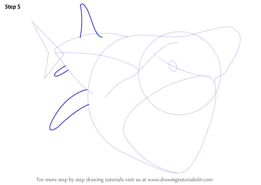 How to Draw a Basking Shark (Fishes) Step by Step