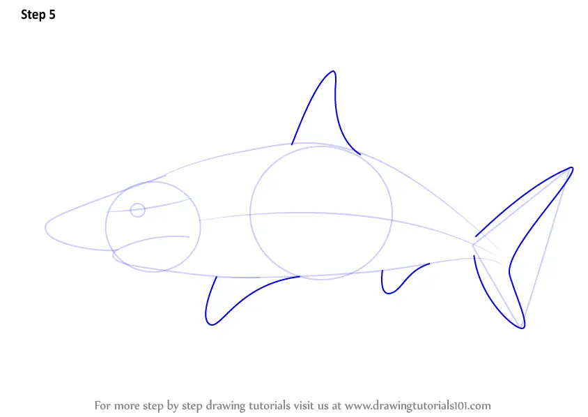 Learn How to Draw a Blacktip Shark (Fishes) Step by Step : Drawing ...
