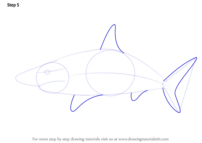 How to Draw a Blacktip Shark (Fishes) Step by Step ...