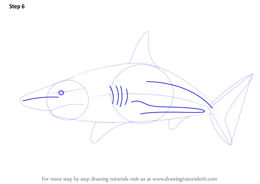 How to Draw a Blacktip Shark (Fishes) Step by Step