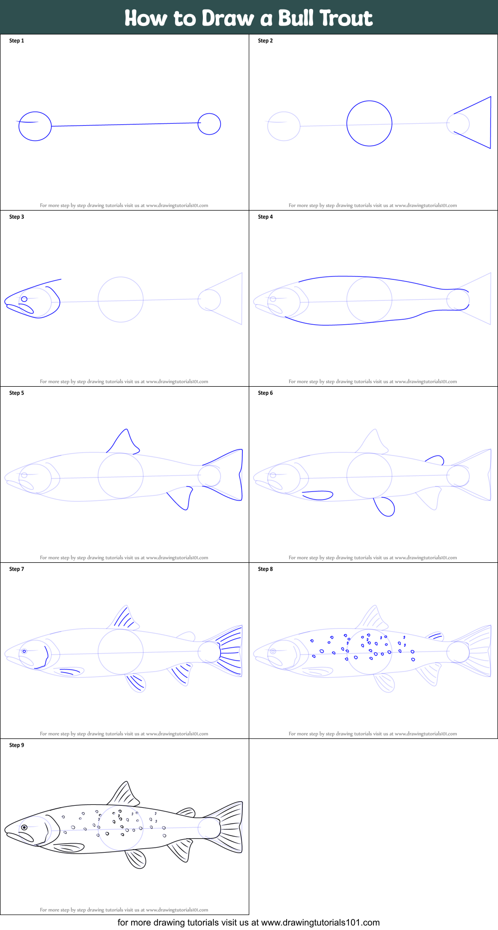 How to Draw a Bull Trout (Fishes) Step by Step | DrawingTutorials101.com