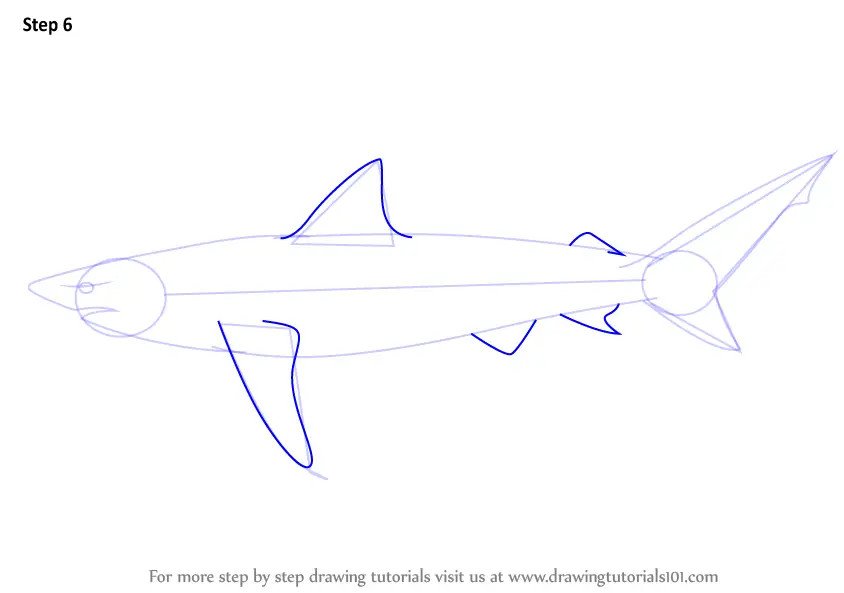 How to Draw a Copper Shark (Fishes) Step by Step | DrawingTutorials101.com