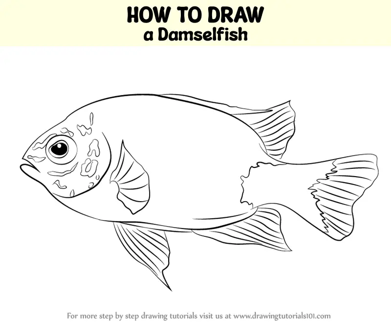 How to Draw a Damselfish (Fishes) Step by Step | DrawingTutorials101.com