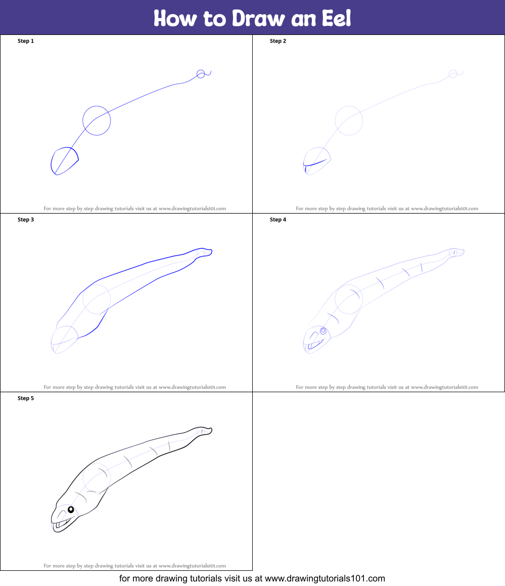 How to Draw an Eel printable step by step drawing sheet ...