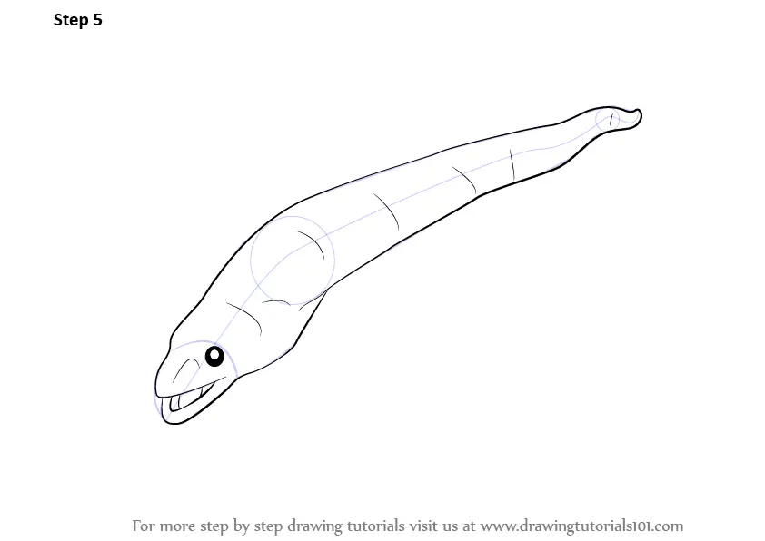 How to Draw an Eel (Fishes) Step by Step