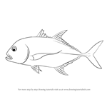How to Draw a Giant Trevally