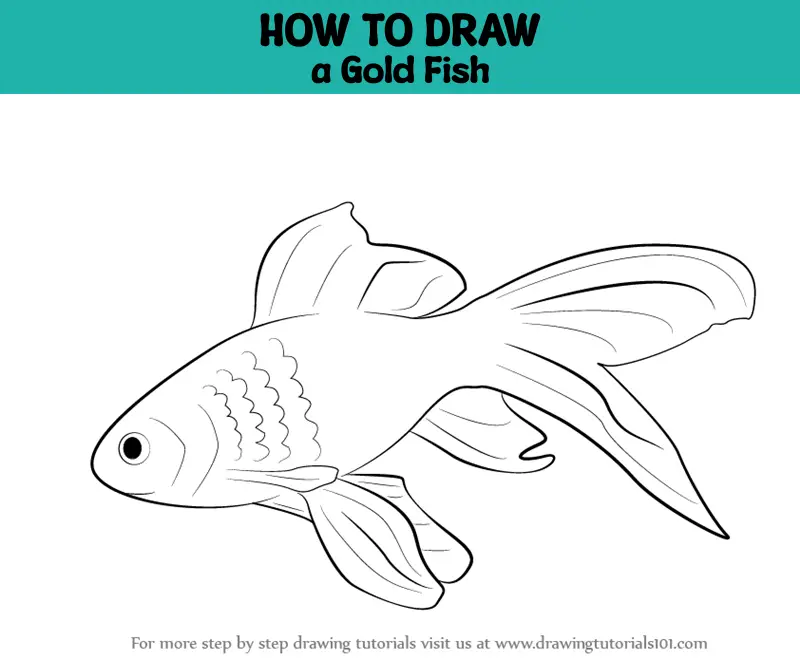 How to Draw a Baby Fish