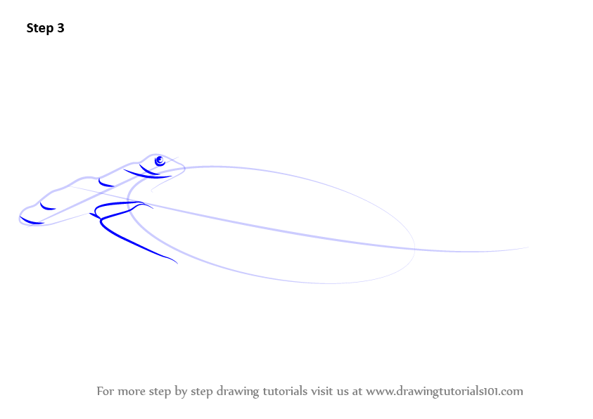 Learn How to Draw a Hammerhead Shark (Fishes) Step by Step : Drawing