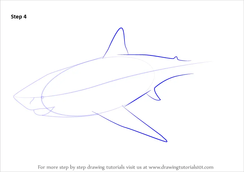 Learn How to Draw a Megalodon (Fishes) Step by Step : Drawing Tutorials