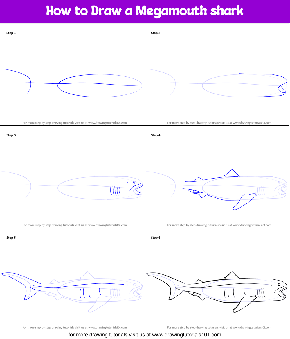 How to Draw a Megamouth shark printable step by step