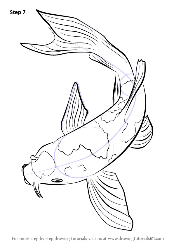dragon koi fish drawing outline
