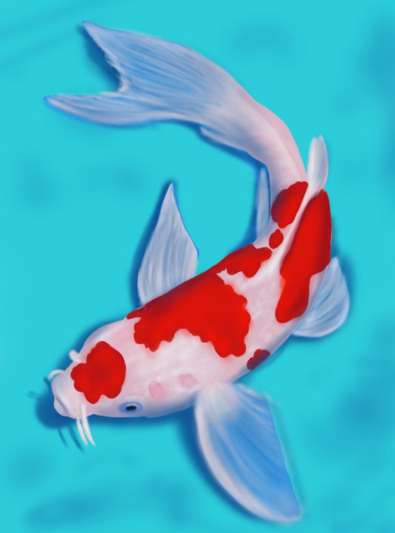 Koi fish drawing