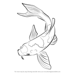 How to Draw a Koi Fish
