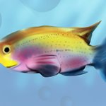 How to Draw a Rainbow Fish