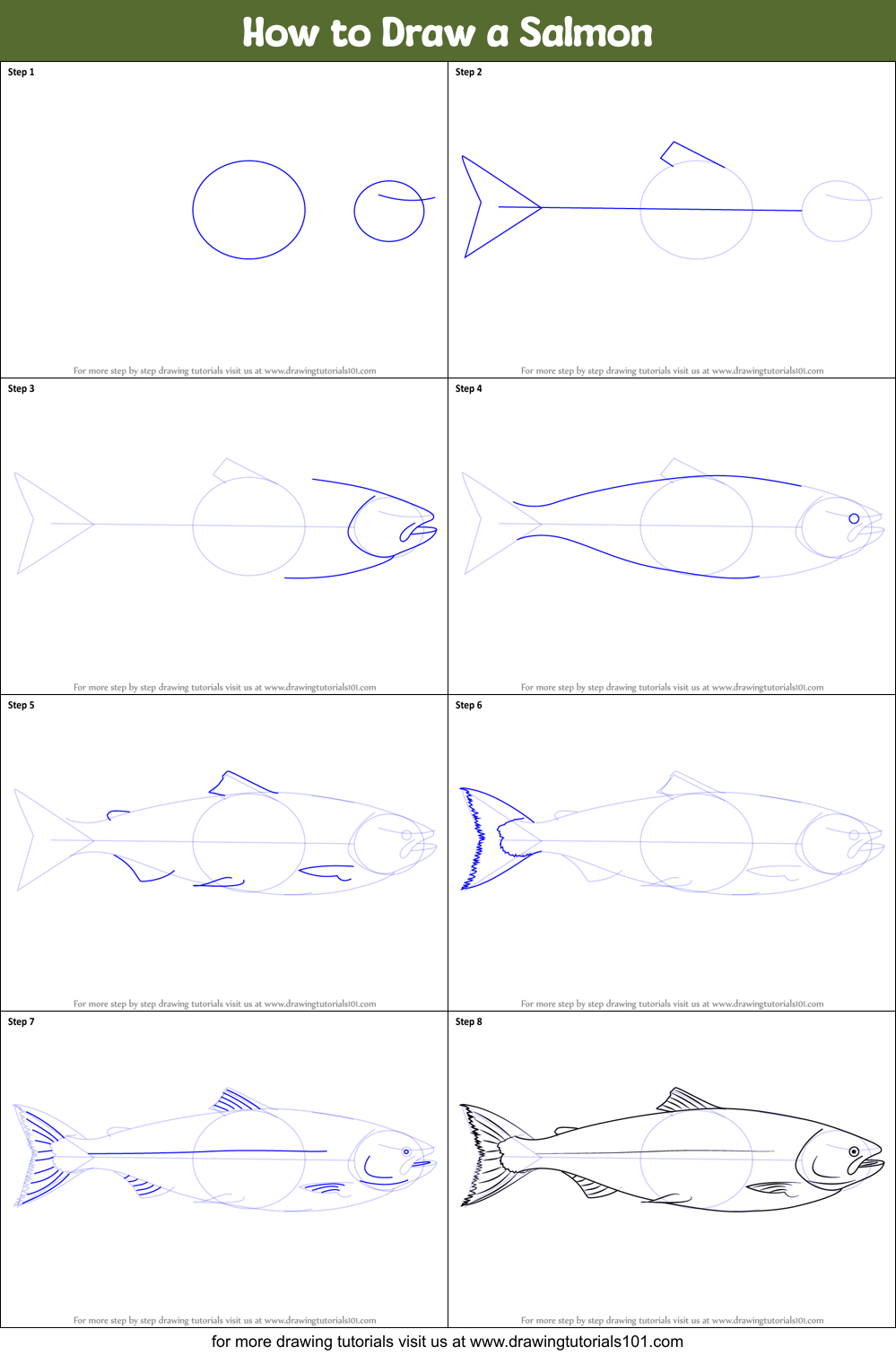 How to Draw a Salmon (Fishes) Step by Step | DrawingTutorials101.com