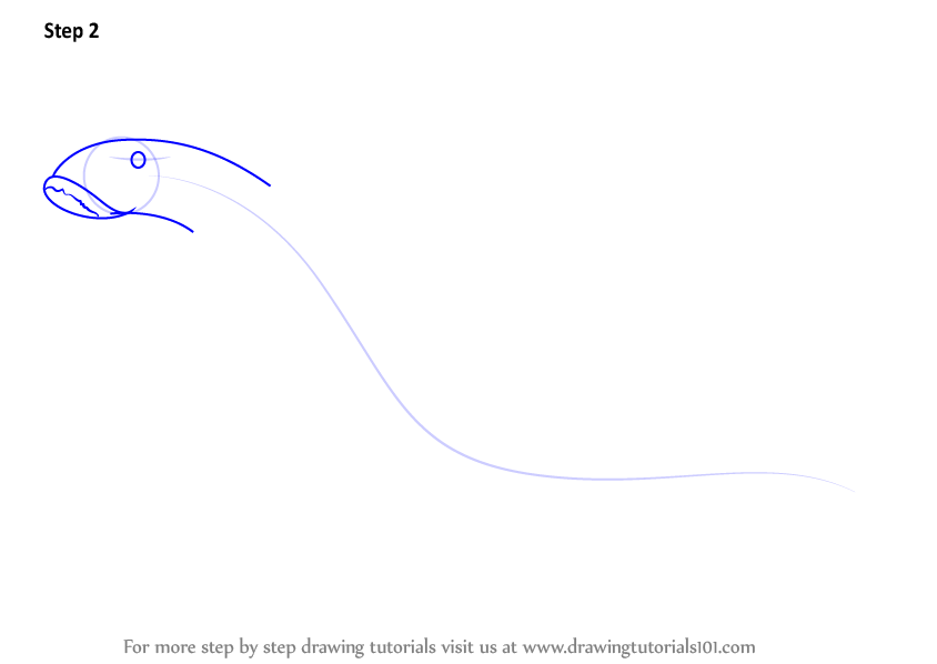 Learn How to Draw a Sea Lamprey (Fishes) Step by Step : Drawing Tutorials