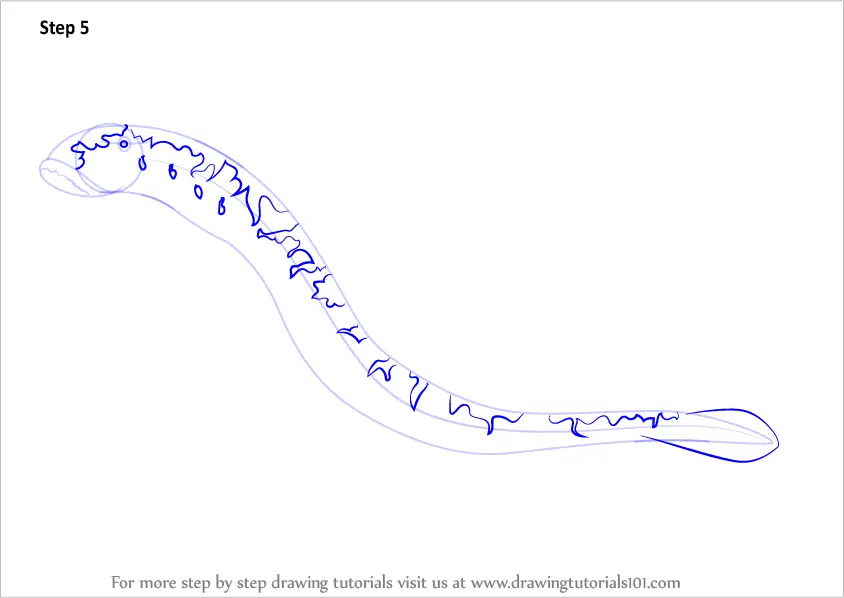 How to Draw a Sea Lamprey (Fishes) Step by Step