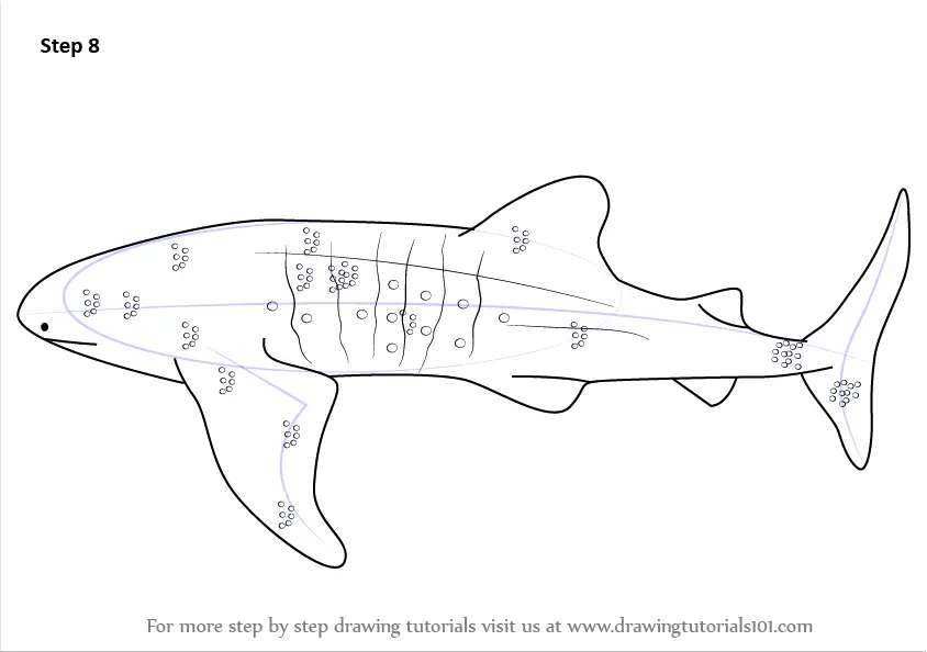 Whale shark and Blue shark. Marine predator animal. Sea life. Hand drawn  vintage engraved sketch. Ocean fish. Vector illustration for web, logo or t  Stock Vector Image & Art - Alamy