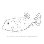 How to Draw a Yellow Boxfish