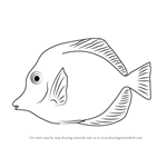 How to Draw a Yellow Tang